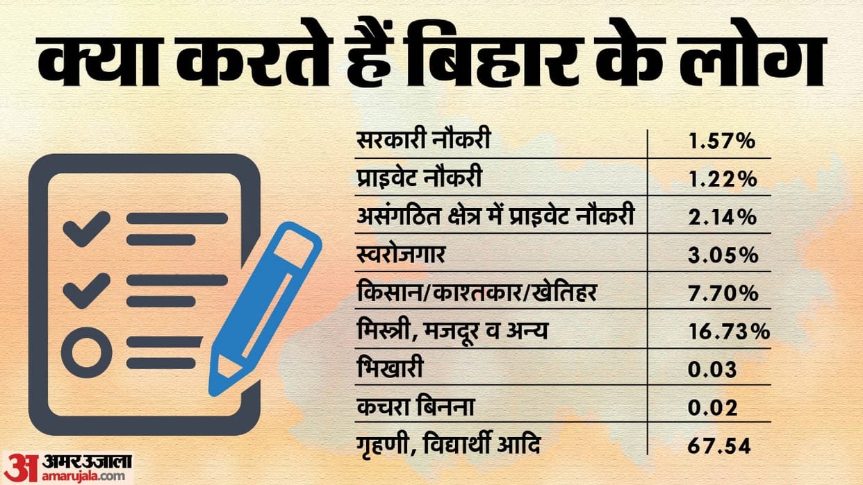Bihar News : Bihar Caste census economic survey report of Unemployment in bihar, self-employed, employment