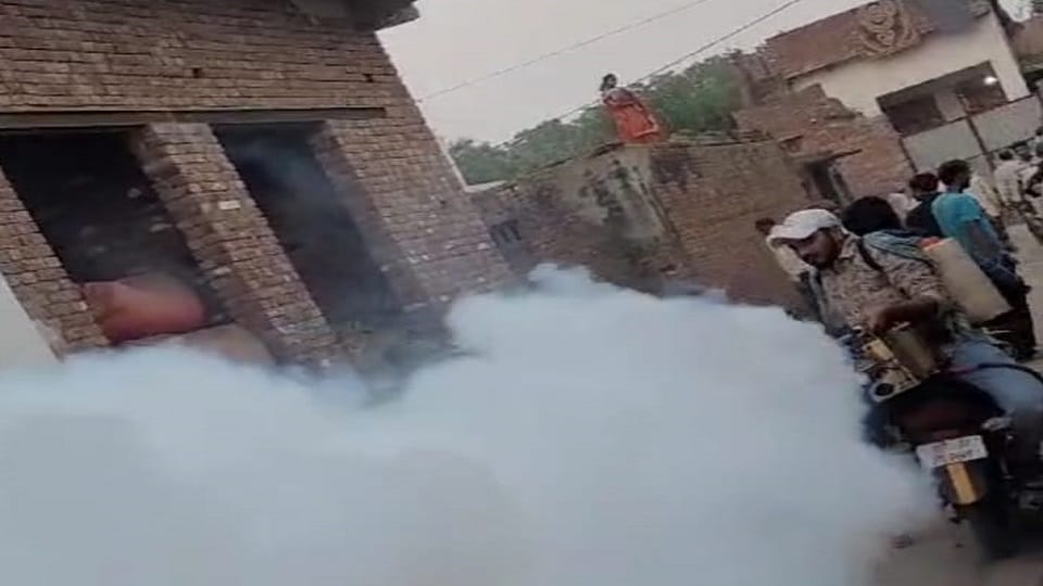 So far eight people have died due to fever in Ranjitgarhi