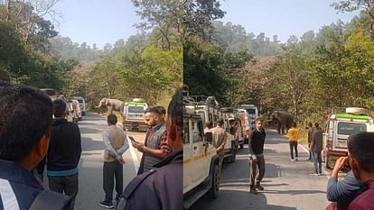 Elephant enter on Kotdwar Pauri National Highway traffic Jam and People panic