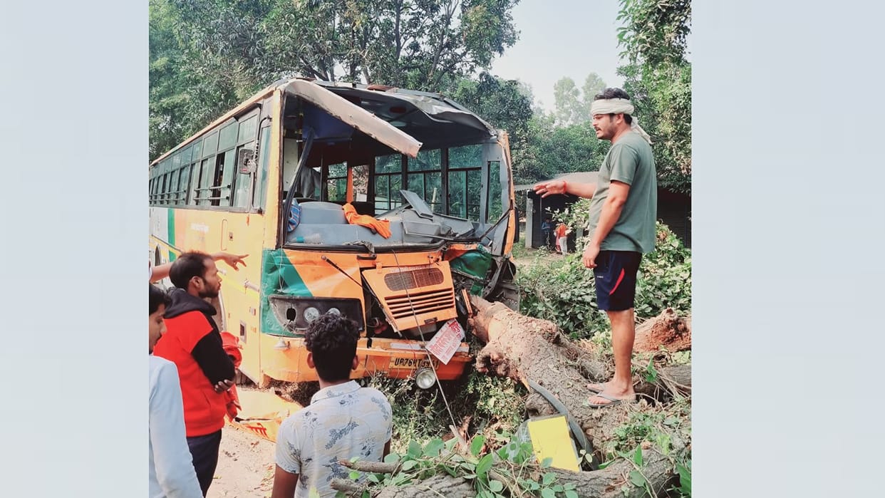 A bus collied to a mango tree in Raebareli, many injured.