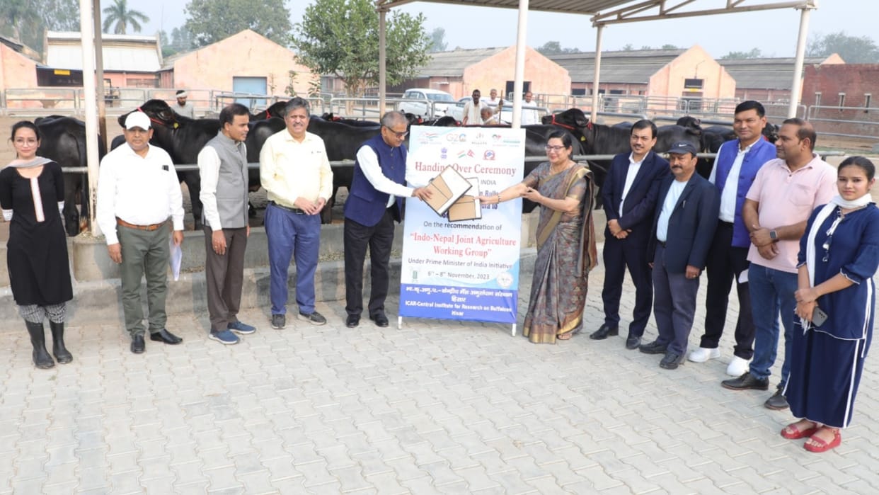 Haryana: CIRB handed over 15 male buffalo of Murrah breed to Nepal