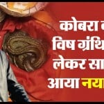 Elvish Yadav Case