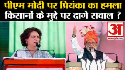 Chhattisgarh Election 2023: Priyanka's attack on PM Modi raises questions on farmers' issue?