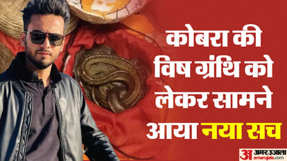 Elvish Yadav Case venom glands of five cobras were taken out remaining four snakes were not poisonous; reveale