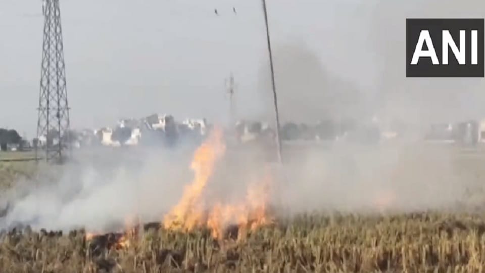 Stubble burnt in fields in Yamunanagar of Haryana, people suffocating due to increasing pollution