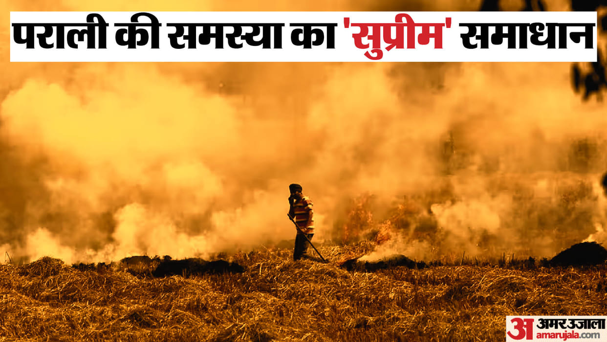 Supreme Court ruling for stubble burning and pollution issues in delhi ncr