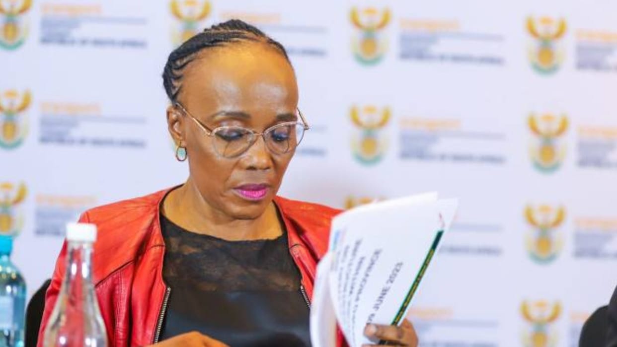 South African Transport Minister Sindisiwe Chikunga robbed at gunpoint says it is horrible