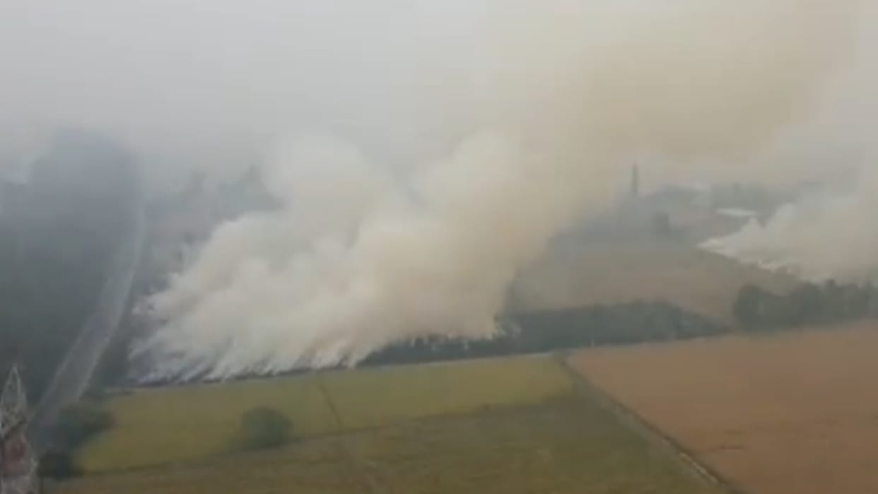 Big action will be taken against officials on stubble burning