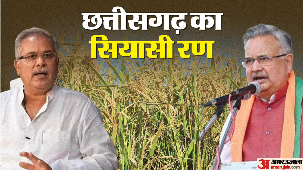 Chhattisgarh Elections 2023: Whoever threshes the paddy will get the same rice.