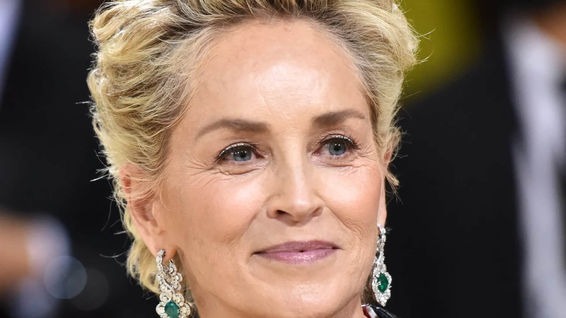 Sharon Stone Hollywood actress alleges she was sexually harassed by former Sony Pictures head know in detail