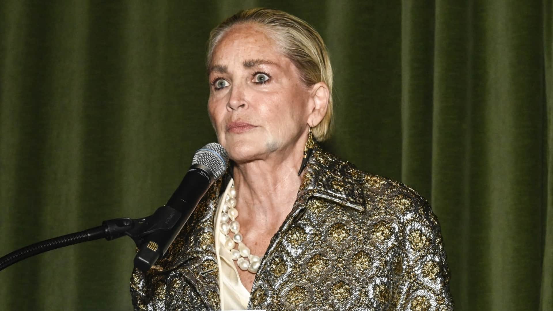 Sharon Stone Hollywood actress alleges she was sexually harassed by former Sony Pictures head know in detail