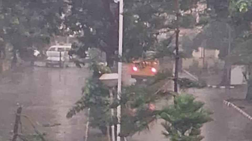 Weather change in Punjab, rain in jalandhar