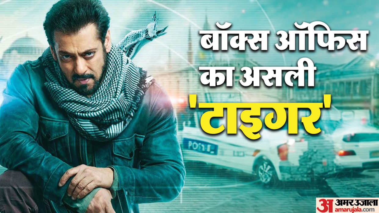 Tiger 3 actor Salman Khan Biggest Opening Films Bharat Prem Ratan Dhan Payo Sultan Tiger Zinda Hai