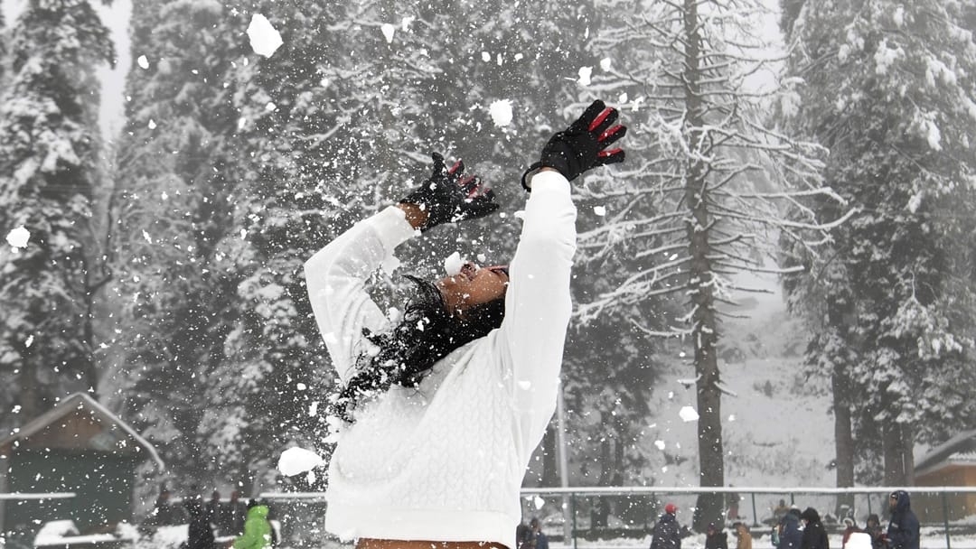 Jammu Kashmir: Gulmarg buzzes with domestic and foreign tourists after snowfall