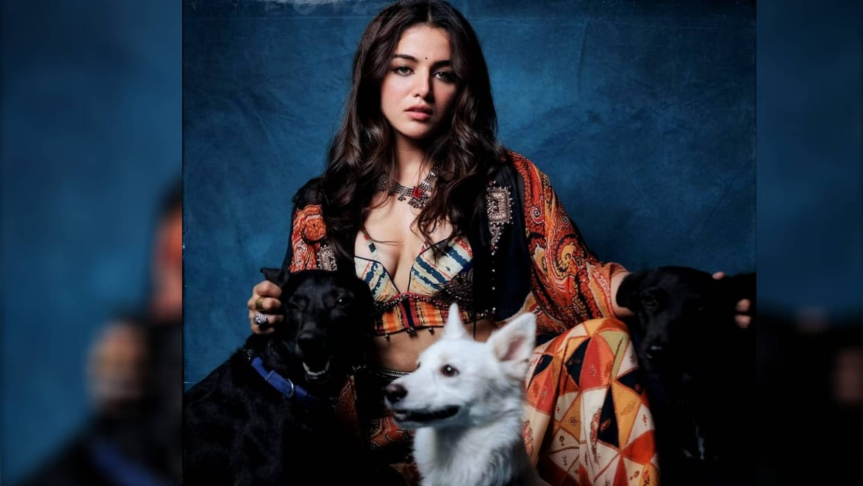 Diwali 2023 Wamiqa Gabbi urged people to use fireworks with caution during celebration so animals dont suffer