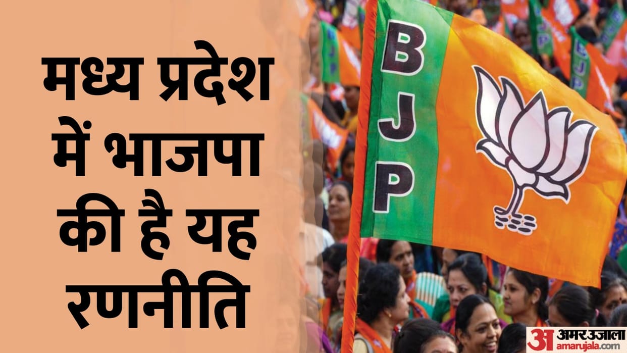 BJP released the manifesto five days before voting in Madhya Pradesh Under this strategy