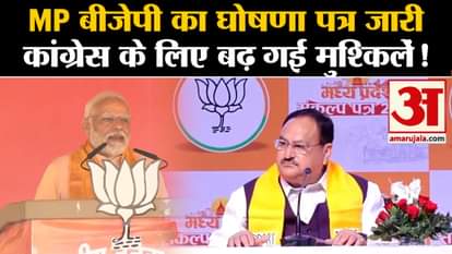 MP Assembly Elections: MP BJP's manifesto released, problems have increased for Congress!