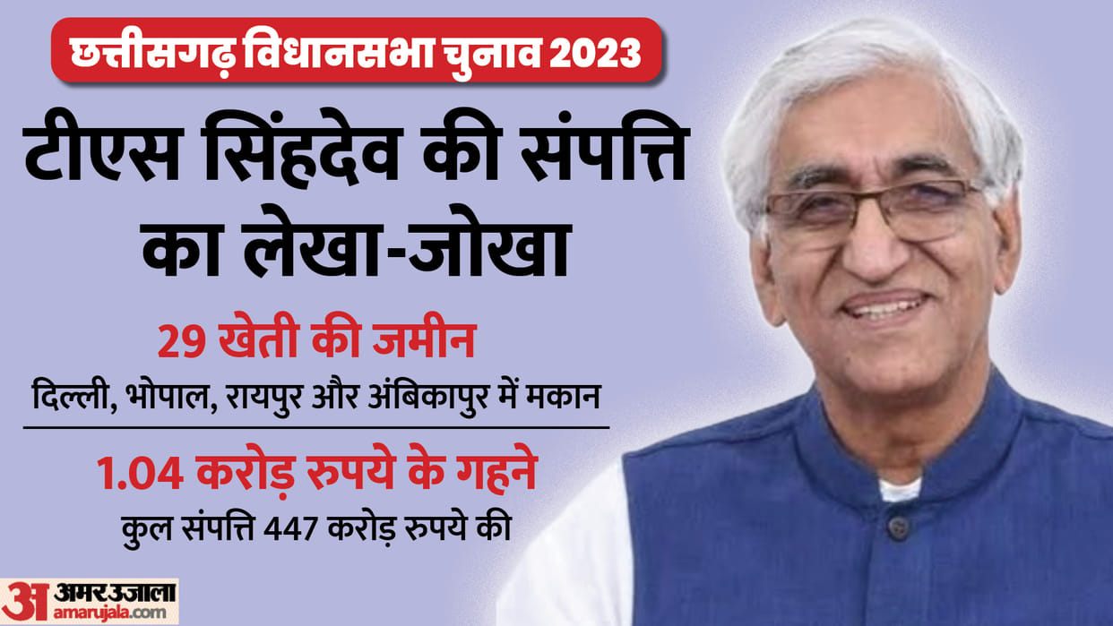 Chhattisgarh Election 2023: Election affidavit of Deputy CM TS Singhdeo