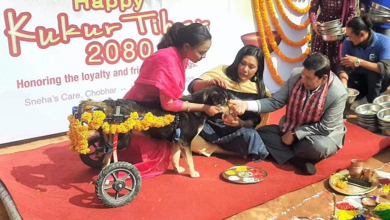 Nepal celebrates Deepawali worshiping crow, dog besides Goddess Laxmi