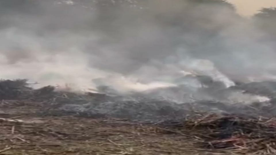 Fireman beaten up in Rewari on Diwali night, Workers arrived late to extinguish fire