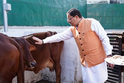 Govardhan Puja CM Dhami worshipped cows wished for happiness and prosperity of the people of the state