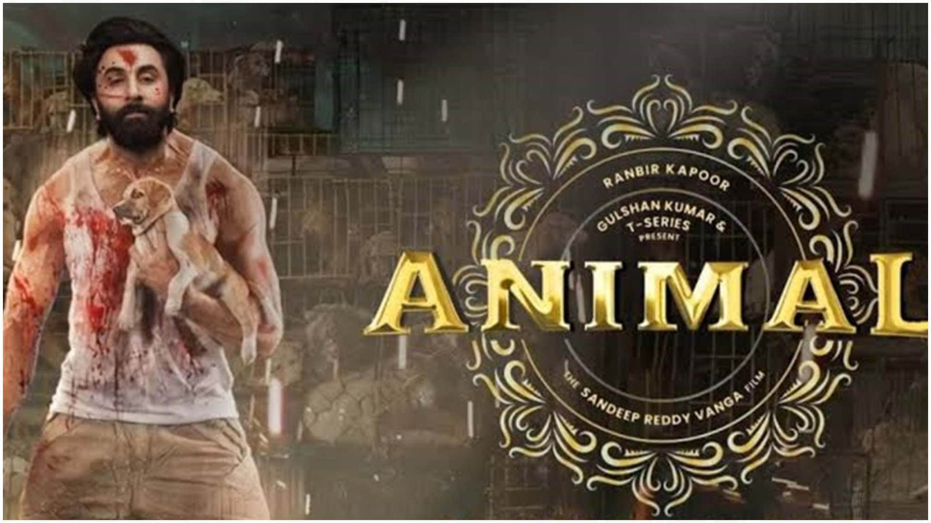 Animal Advance Box Office: Ranbir Kapoor film may earn 50 crore on opening day Know all details ticket booking