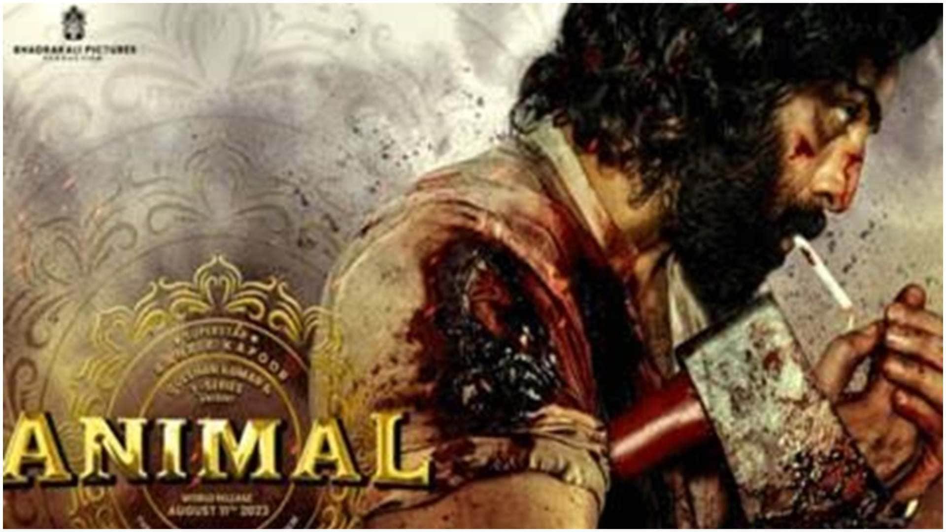 ranbir kapoor moved away chocolate boy image animal raajneeti rockstar rocket singh salesman of the year barfi