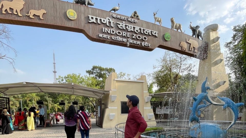 indore zoo free entry 17 november voting day