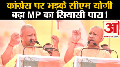 Madhya Pradesh Assembly Election 2023 News: CM Yogi angry at Congress, political temperature of MP increased!