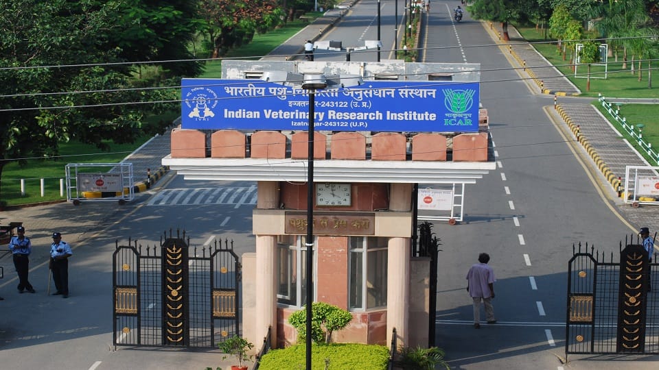 B.Tech and MBA studies will be conducted in IVRI from January.