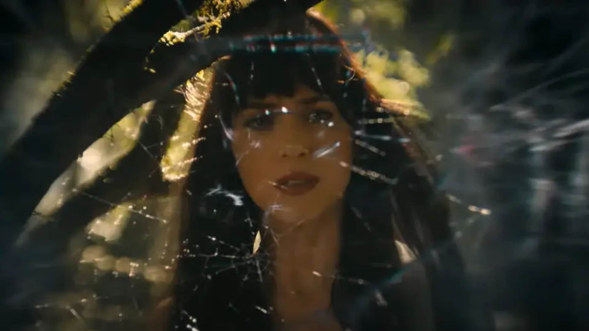 Dakota Johnson After Madame Web will not do such films anymore know here what she said