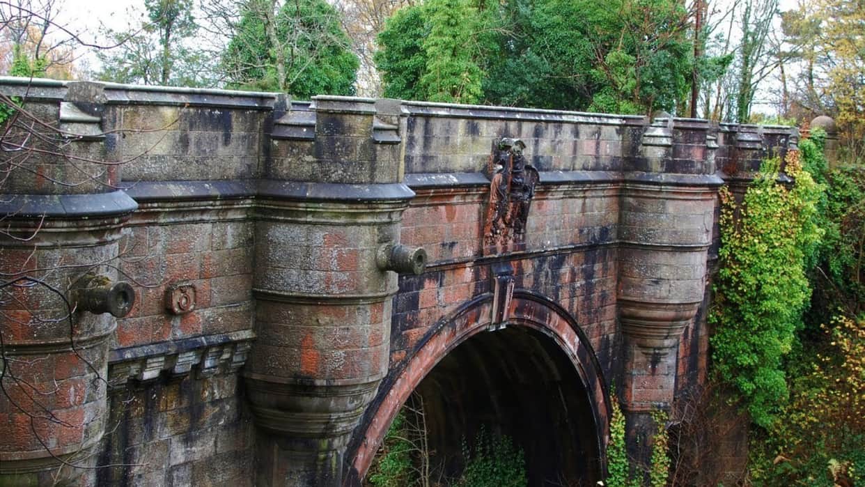 mysterious bridge dogs jump to suicide from this bridge in scotland uk