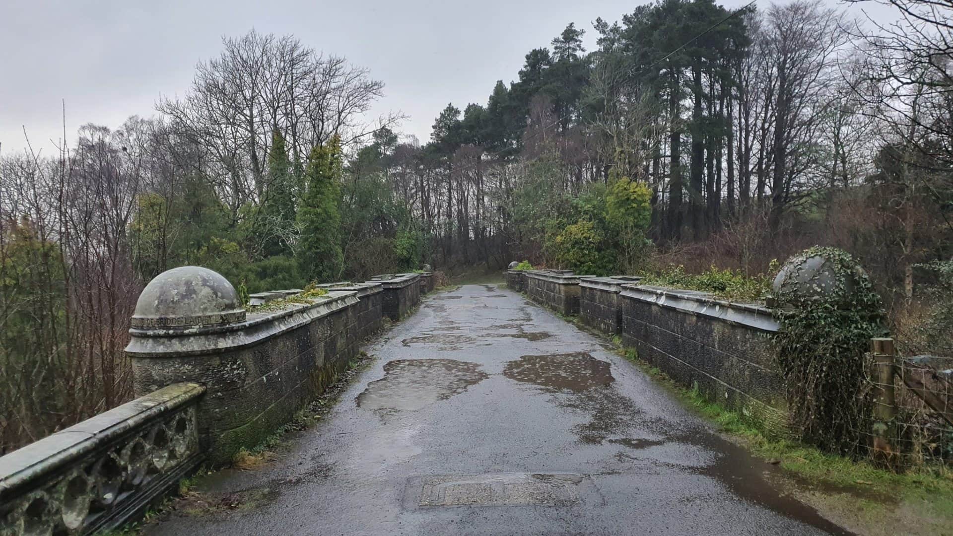 mysterious bridge dogs jump to suicide from this bridge in scotland uk