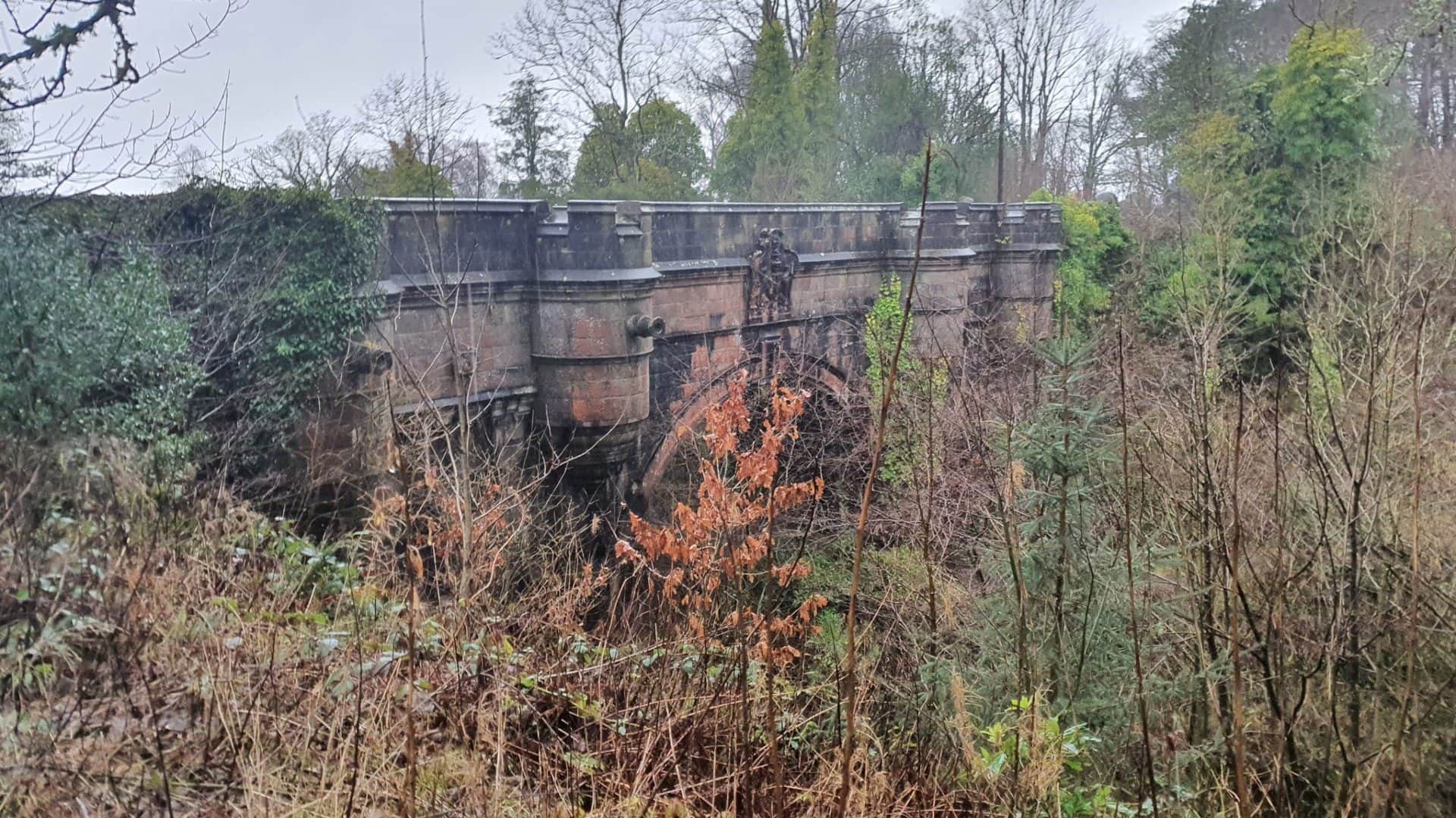 mysterious bridge dogs jump to suicide from this bridge in scotland uk