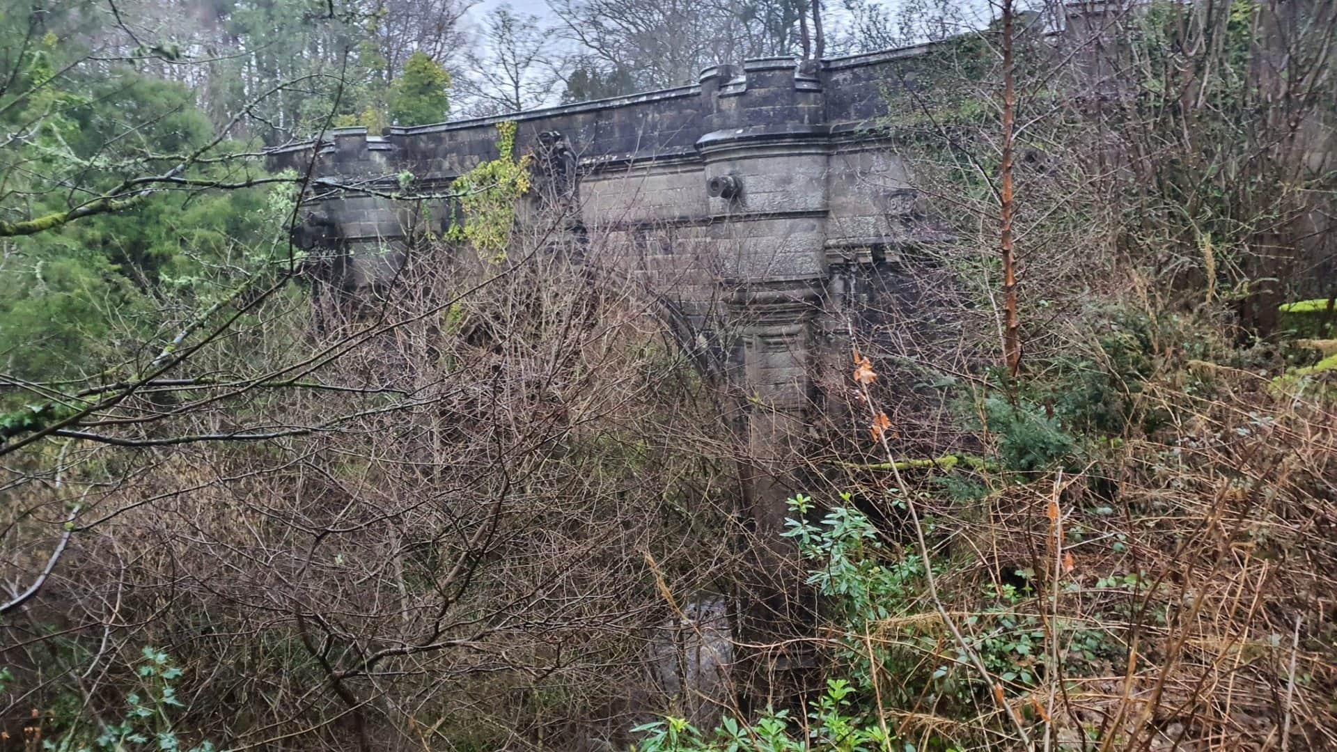 mysterious bridge dogs jump to suicide from this bridge in scotland uk