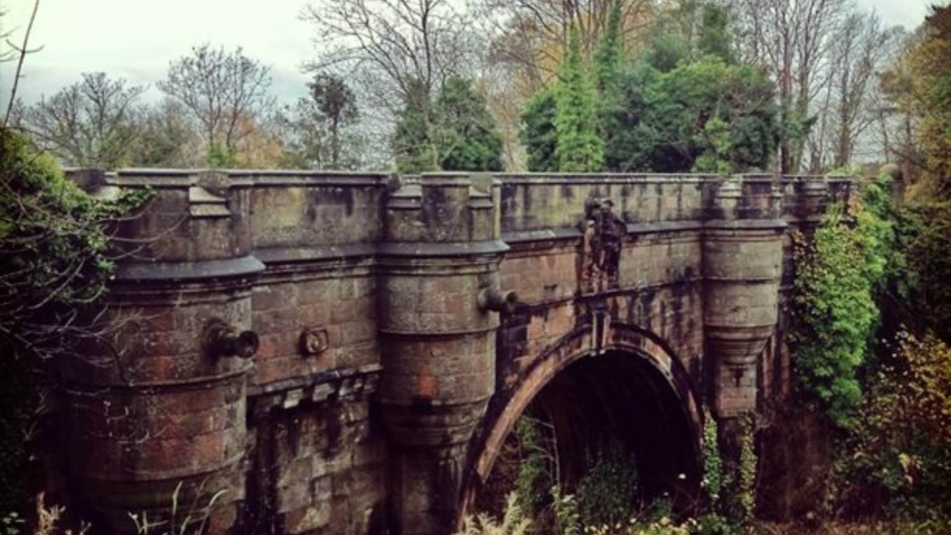 mysterious bridge dogs jump to suicide from this bridge in scotland uk