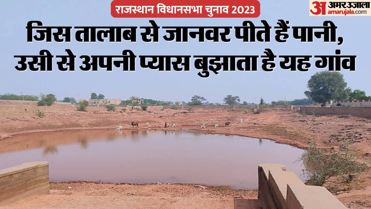 Rajasthan election: There is only one pond in Bawad village, entire village drinks water from this small pond