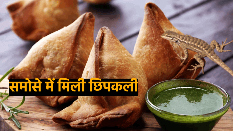 girl fell ill after eating a dead lizard in samosas hapur news