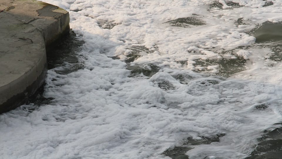 Before Chhath white foam started rising in Yamuna expert told why such a sight occurs in every year