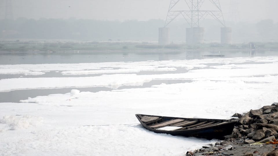 Before Chhath white foam started rising in Yamuna expert told why such a sight occurs in every year