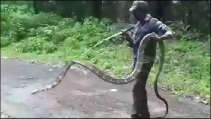 15 foot long Cobra rescued from factory in Tamil Nadu Big News in Hindi