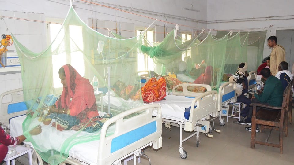 mumber of dengue patients increasing again after Diwali in Bareilly