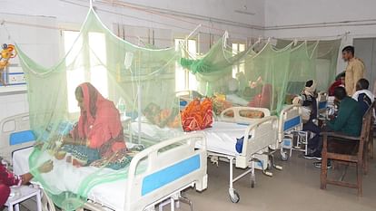 Bareilly News: दिवाली के बाद फिर बढ़ी डेंगू मरीजों की तादाद, आंकड़ा 900 के पार mumber of dengue patients increasing again after Diwali in Bareilly