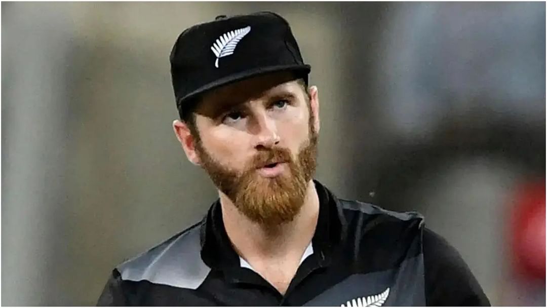 World Cup 2023 kane williamson on virat kohli and mohammed shami performance