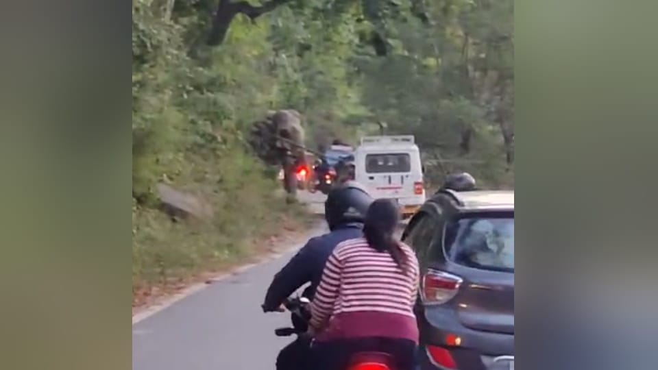 Giant Elephant Reached on Kotdwar Pauri National Highway traffic Jam and People panic