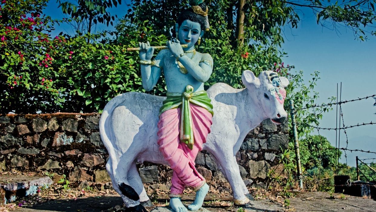 Gopashtami 2023 Date Importance Gopashtami Katha And Puja Vidhi Of Gau Mata
