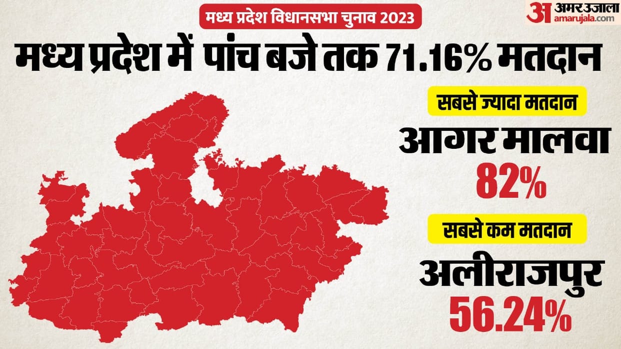 MP Election 2023 Live Updates: MP Election Voting Percentage, Vidhan Sabha Chunav on 230 Seats News In Hindi