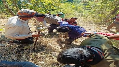 nainital road accident: Nine people died in Nainital road accident