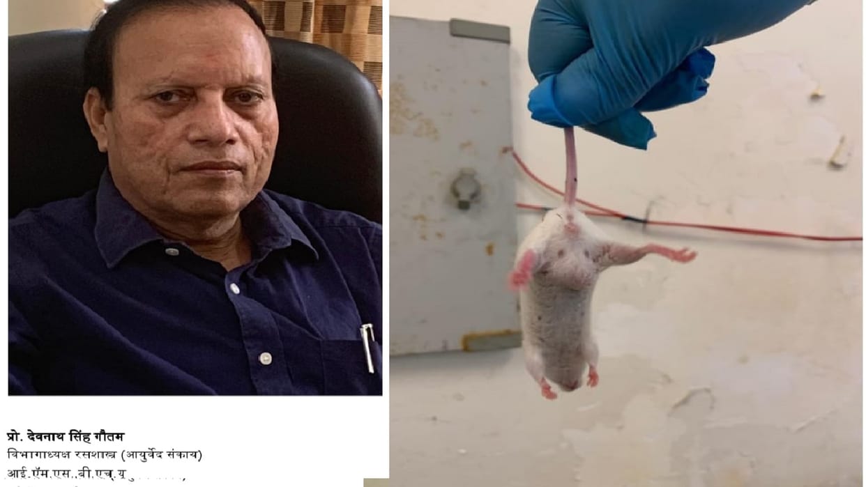 Breast Cancer: Drug Rudraras made in BHU will be effective in preventing breast cancer, trial on rats successf