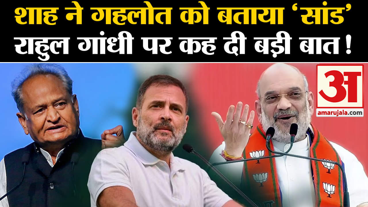Rajasthan Election 2023: शाह ने गहलोत को बताया 'सांड' राहुल गांधी पर कह दी बड़ी बात!